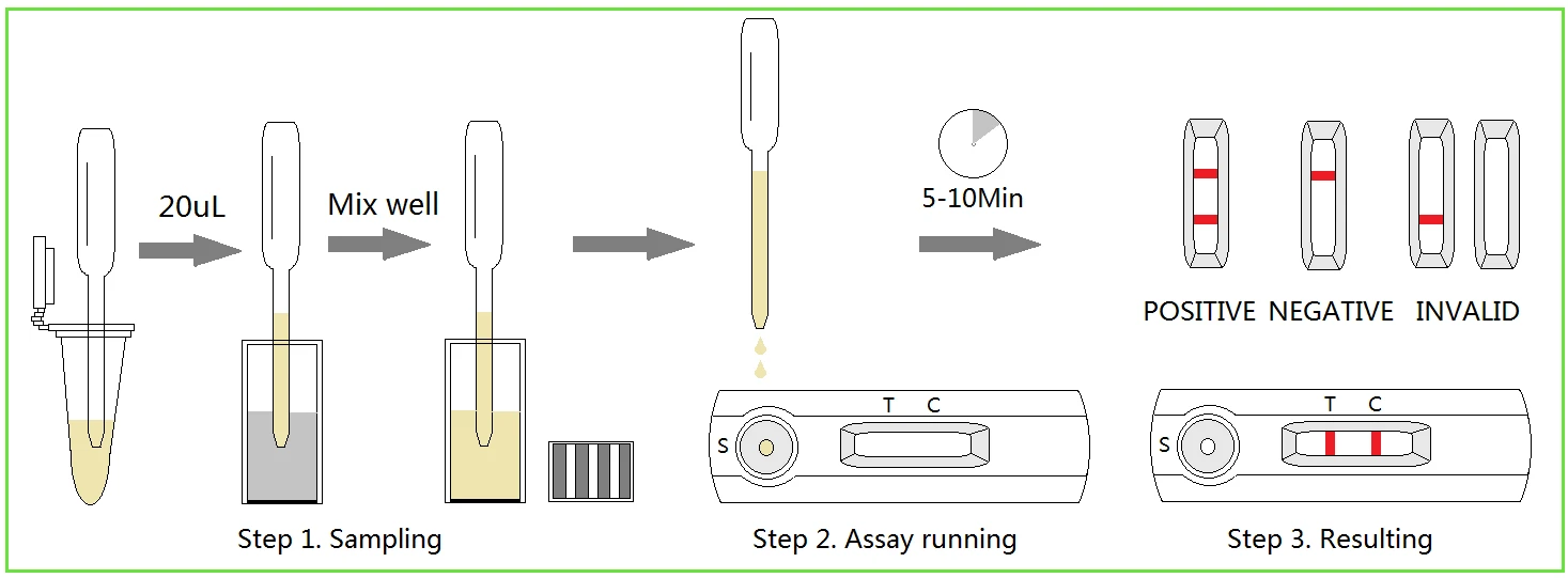 Leishmania canis Antibody Rapid Test