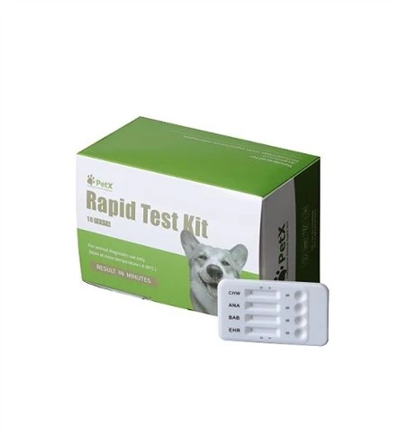 Test rapido per gli anticorpi della malattia di Lyme canina