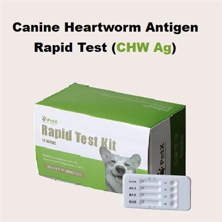 Test AG CHW